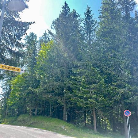 Tatry Ela Big Apartment Strbske Pleso Ngoại thất bức ảnh