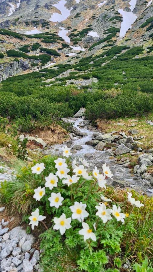 Tatry Ela Big Apartment Strbske Pleso Ngoại thất bức ảnh